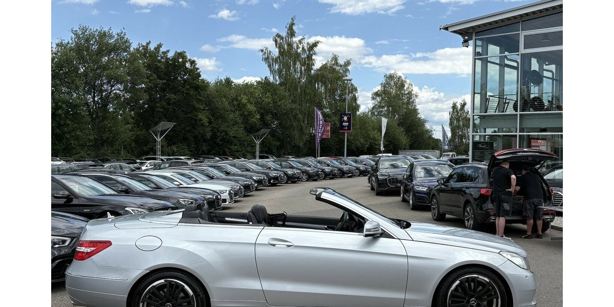 Mercedes-Benz E 350 CDI Cabrio BlueEfficiency NAVI/NACKENHZ 151.676 km 14.900 &euro; Villingen-Schwenningen 78054