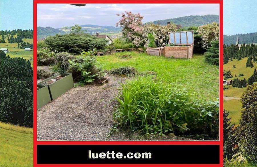 Etagenwohnung Waldshut - 1 Zimmer, 37 m&sup2;, 500&euro; | Angebot:27303697
